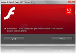 Adobe Flash Player (İ.E İçin) 11.5.502.110