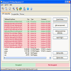 Advanced EFS Data Recovery 4.30