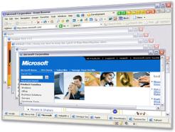 Avant Browser 2010 Build 127