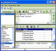 Database Browser Portable 4.0.0.5