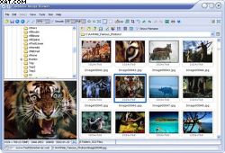 FastStone Image Viewer 3.6 Beta