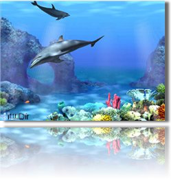 Free Living 3D Dolphins ScreenSaver