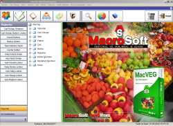 Hal Programı MacVeg  MacroSoft 4.0.0