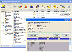 Internet Download Manager 6.0.5 Yapı 10