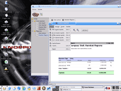 Knoppix Linux Live DVD 6.2