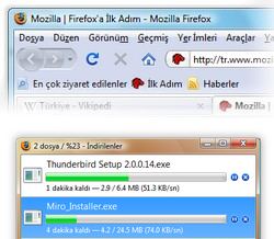 Mozilla Firefox (Türkçe) 3.0.1