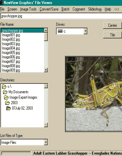 NewView Graphics' File Viewer 7.5