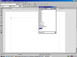OpenOffice.org EN [Windows] 3.1.0