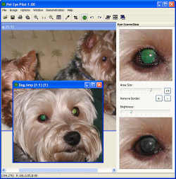 Pet Eye Pilot 3.5.1
