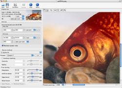 PhotoZoom Pro (Mac) 2.3.4