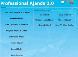 Professional Ajanda 3.0 T