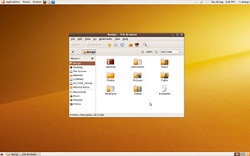 Ubuntu 10.10
