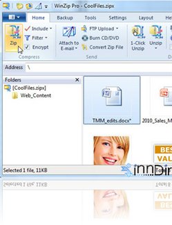 WinZip 16.5 Yapı 10095