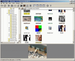 XnView 1.94 RC1