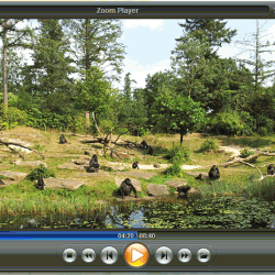 Zoom Player Max 9.0